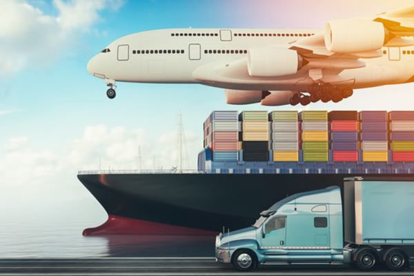 Cargo Transportation & Logistics